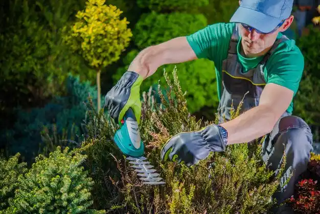 landscaping services Castle Point